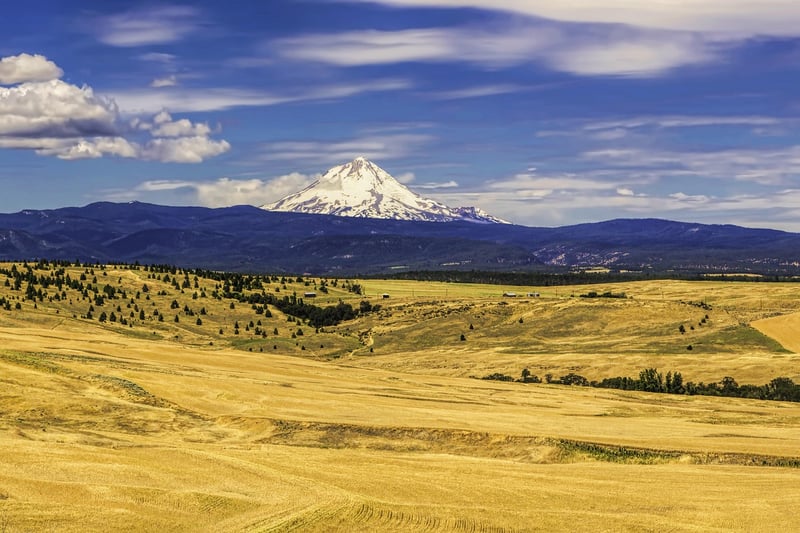 Mount Hood National Forest, Oregon